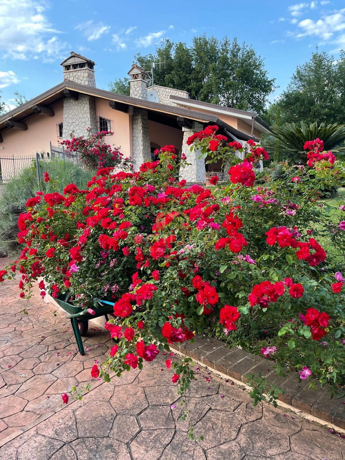 Ekskluzivno imanje blizu Rima – vila 300 m² na 3 ha parceli